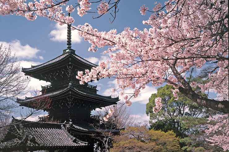 Japan_Pagoda