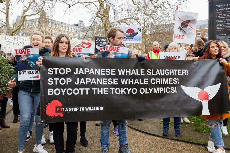 Protestors march in London to protest against Japan resuming commercial whaling.